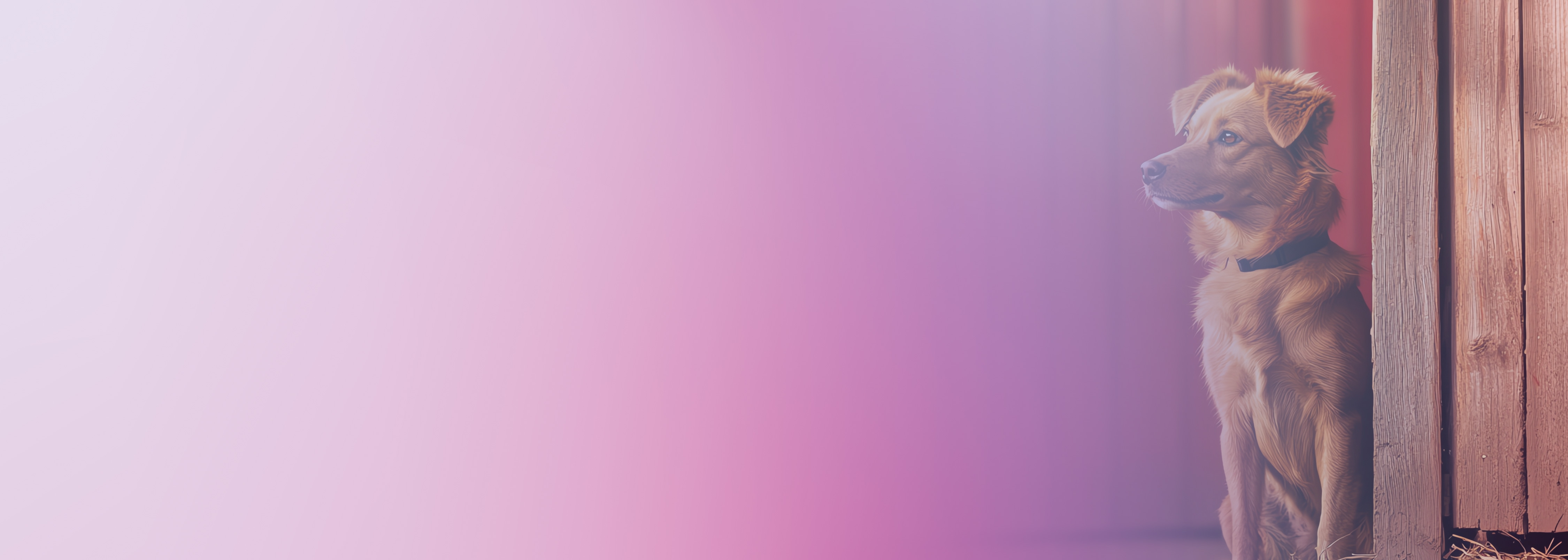 Missing alt text value