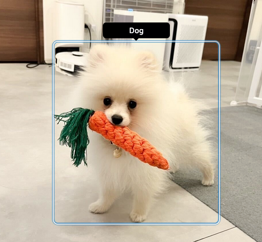Missing alt text value