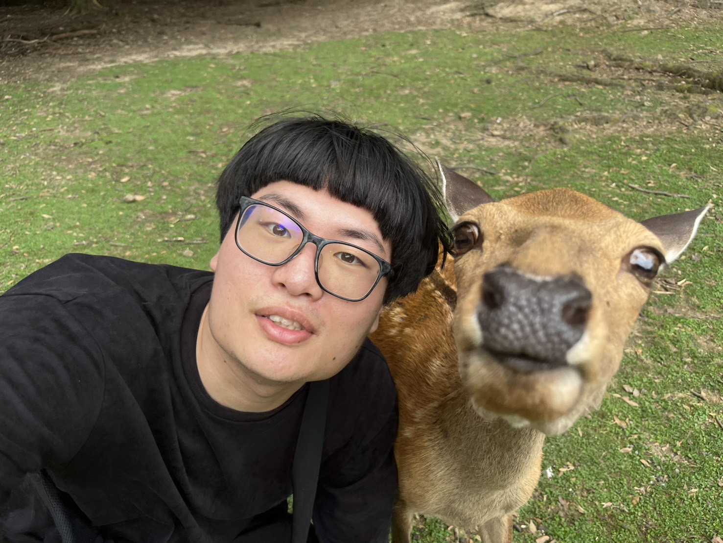 Missing alt text value