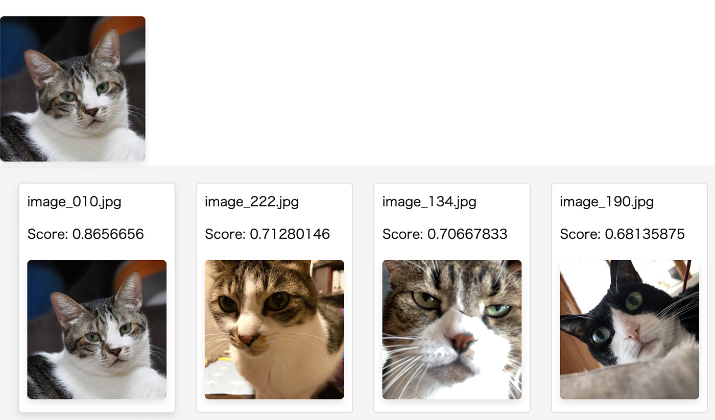 A screenshot of an image search interface showing a query image of a cat with results of similar cat images and their similarity scores.