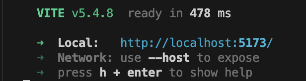 Screenshot of a terminal showing Vite v5.4.8 development server ready, with local URL http://localhost:5173/ and usage instructions.