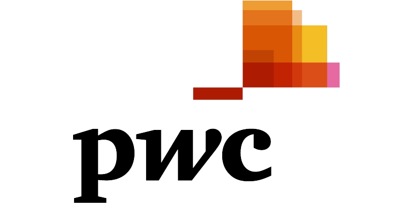 PwC logo (pixel style) on transparent background