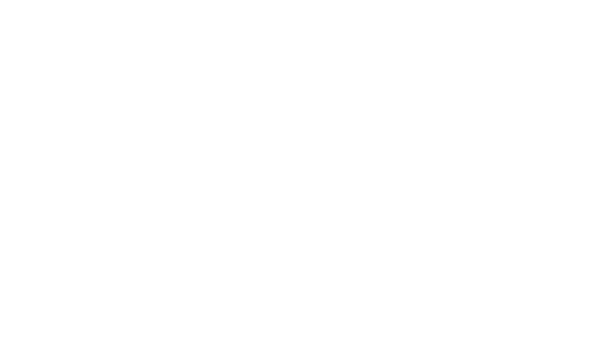 株式会社ディーネット（Digital-Effect Network CO., LTD.）のロゴ画像。