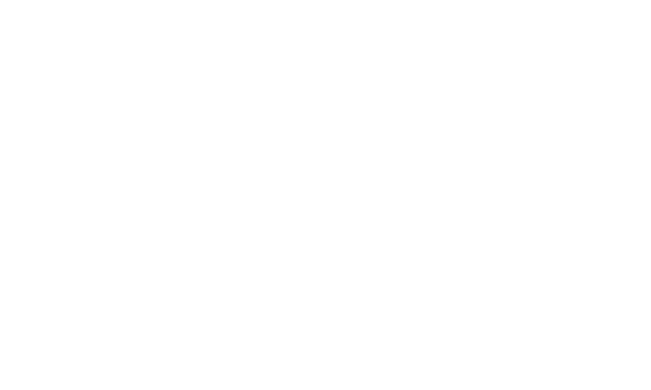Sony Biz Networks logo in white text on a transparent background.