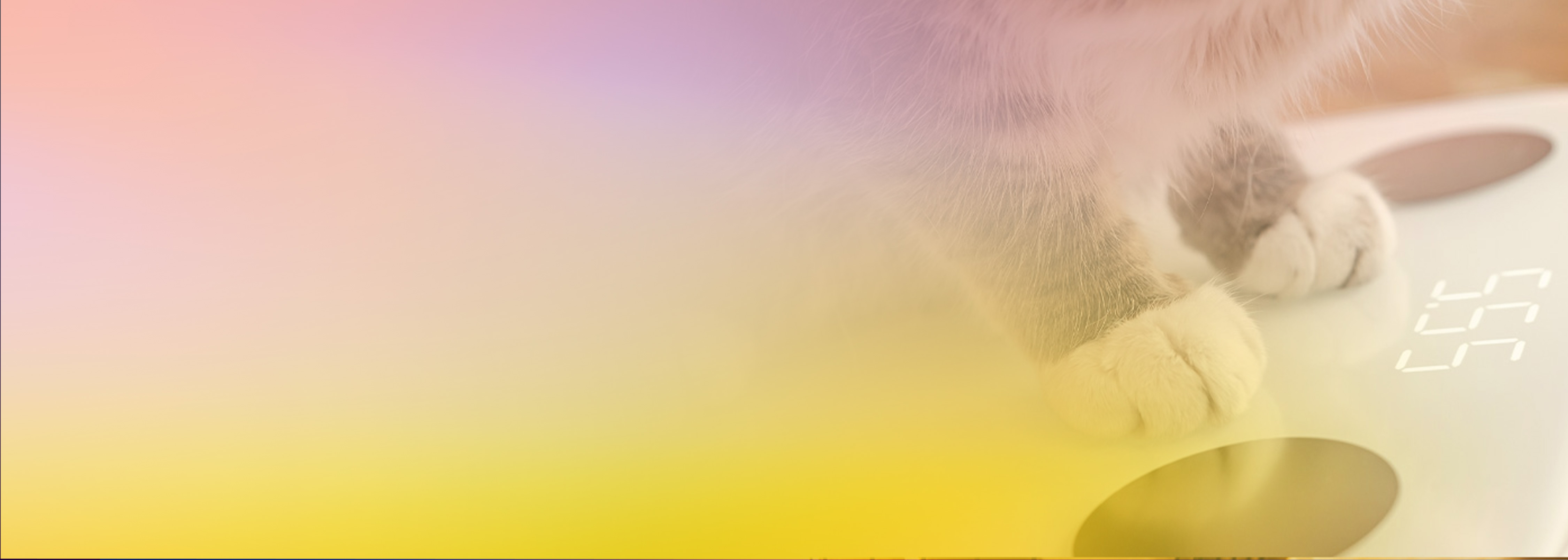 A close-up of a cat's paws standing on a digital IoT smart scale, partially obscured by a soft pastel color gradient overlay. The digital numbers of the scale are faintly visible, emphasizing a connection to smart, connected pet devices.