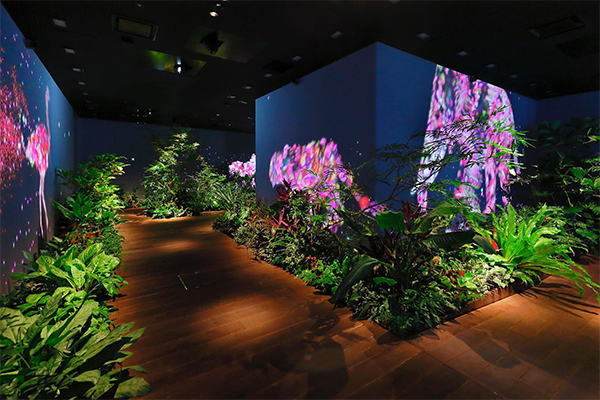 An immersive digital art garden exhibit featuring lush greenery and colorful, projected digital floral artwork on surrounding walls.