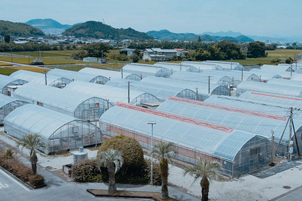 A landscape view of multiple greenhouses located in Kochi Prefecture, Japan, with mountains and rural scenery in the background.