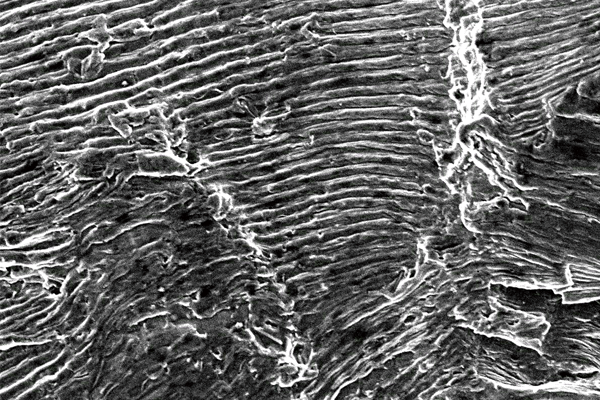Microscopic view of a fractured material surface, showing detailed texture used in a deep learning consortium case study on fractography.