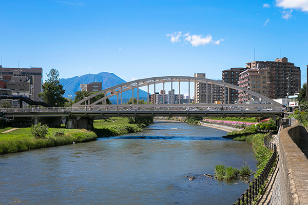 A scenic view of a river with a white arched bridge, surrounded by greenery and urban buildings, with a mountain in the background under a bright blue sky.