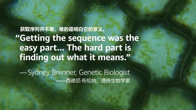 Missing alt text value