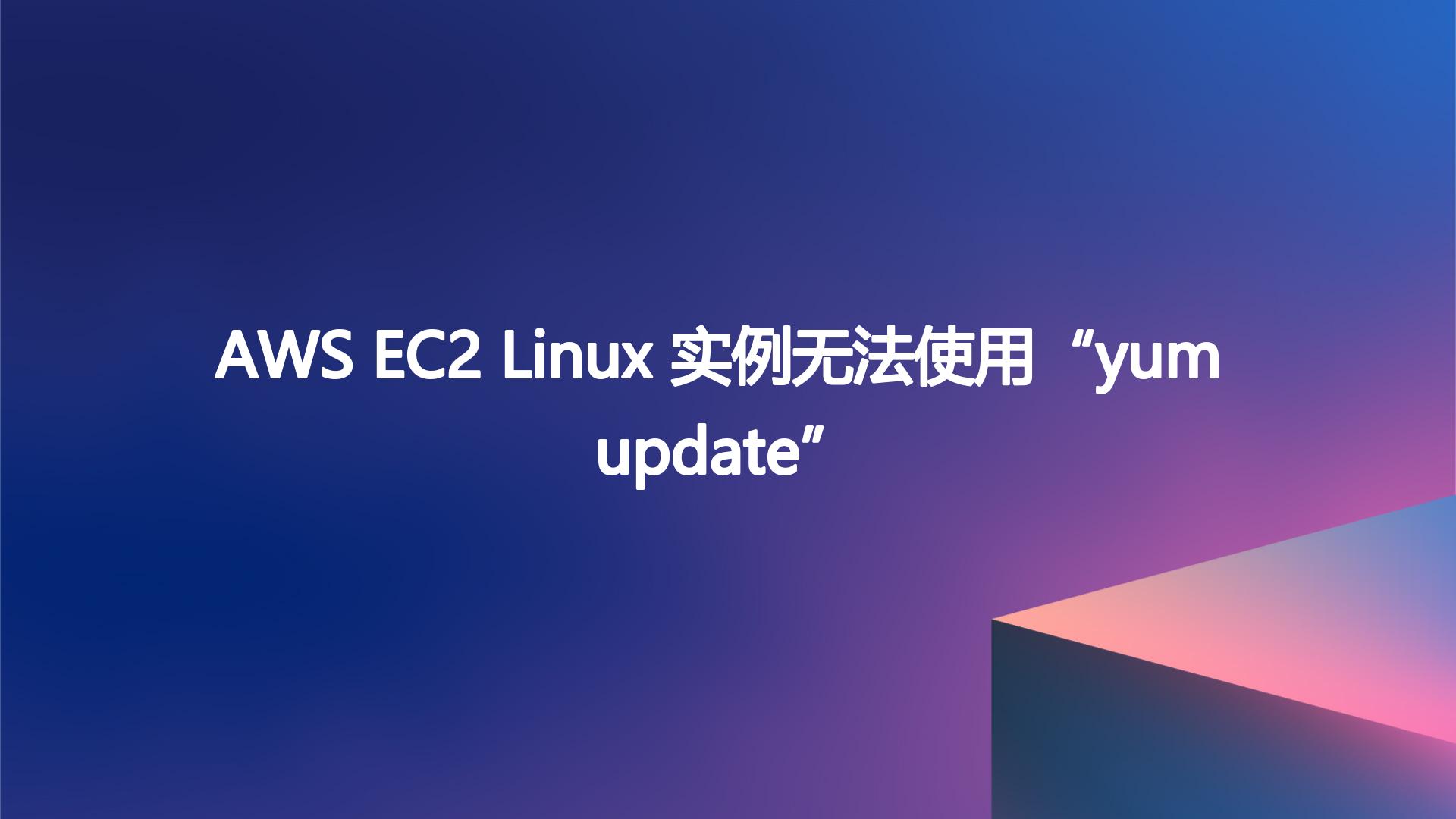AWS EC2 Linux 实例无法使用“yum update”