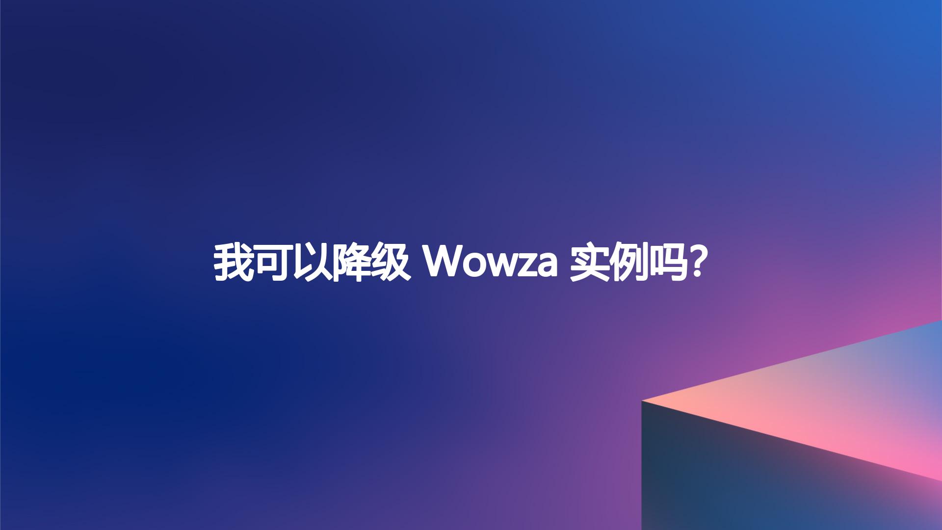 我可以降级 Wowza 实例吗？