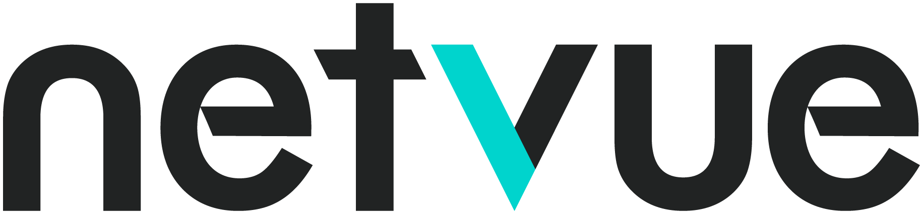 The Netvue logo with black lettering and a teal 'V', displayed on a transparent background.
