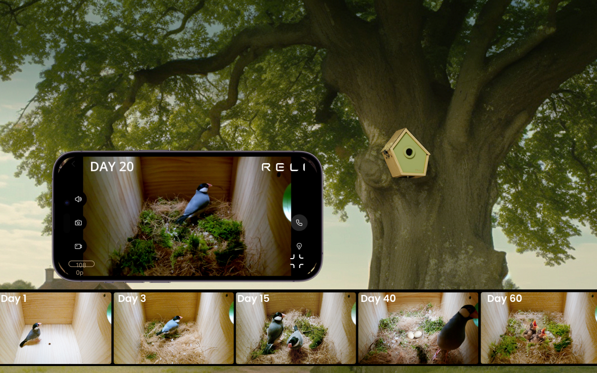 A timelapse image depicting a smart birdhouse equipped with a nest camera mounted on a tree, showing various stages of bird nesting and development as viewed through a mobile device and individual day snapshots.