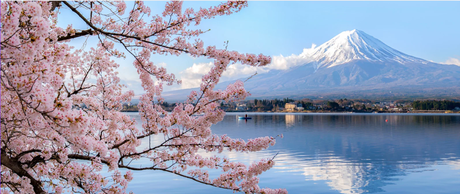 Missing alt text value