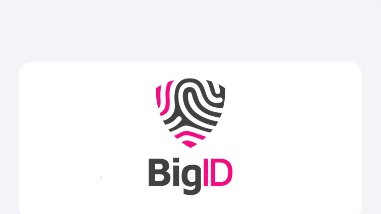 BigID logo