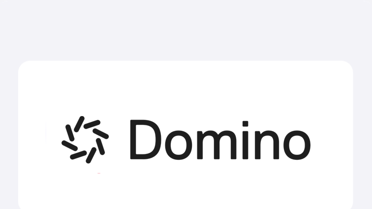Domino Data Lab logo