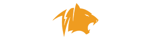 The orange logo of Tigera, depicting a stylized tiger head on a white background.