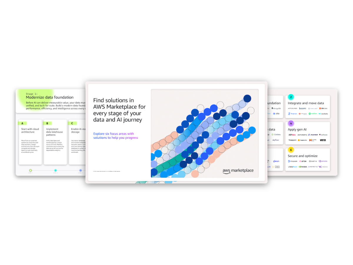 Data and AI Maturity Guidebook
