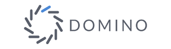 Domino company logo in blue and gray, displayed for AWS Marketplace branding.