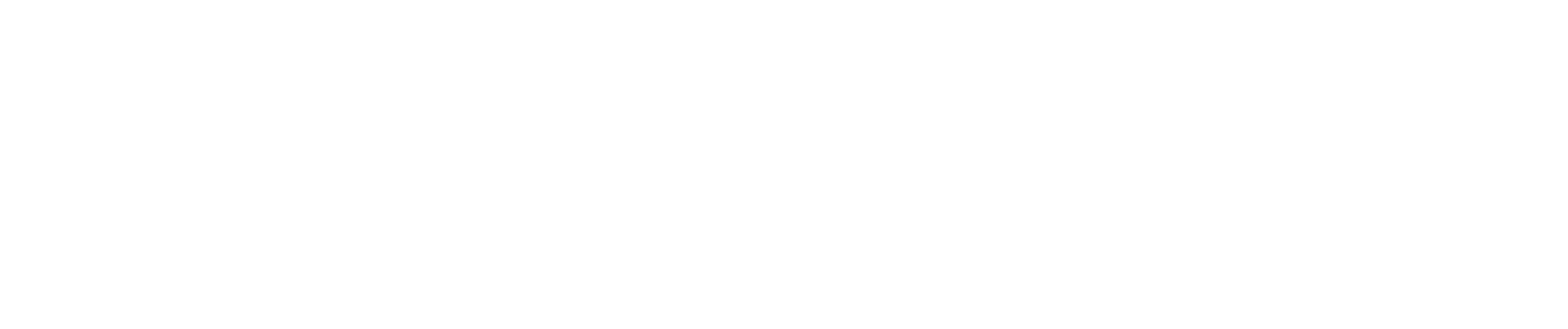BCG-Boston-Consulting-Group (White) Logo