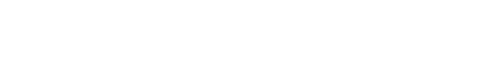 Hyundai (White) Logo