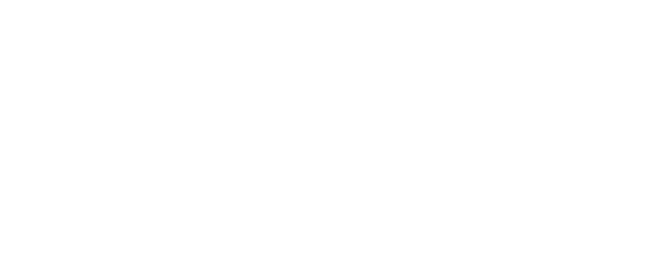IBM White Logo