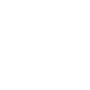 Orca Security