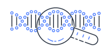 Illumina 徽标