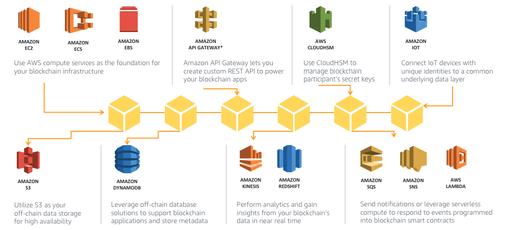 aws blockchain use cases