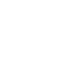 competency_header-icon_government