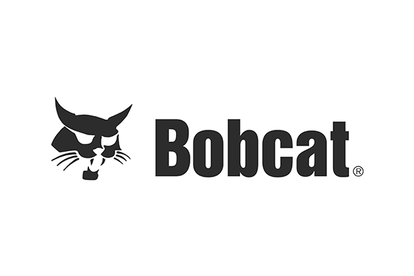 Bobcat