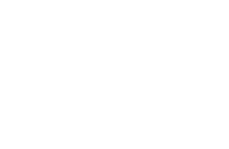 PingCAP