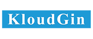 Kloudgin