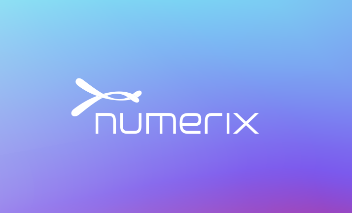 Numerix 회사 로고