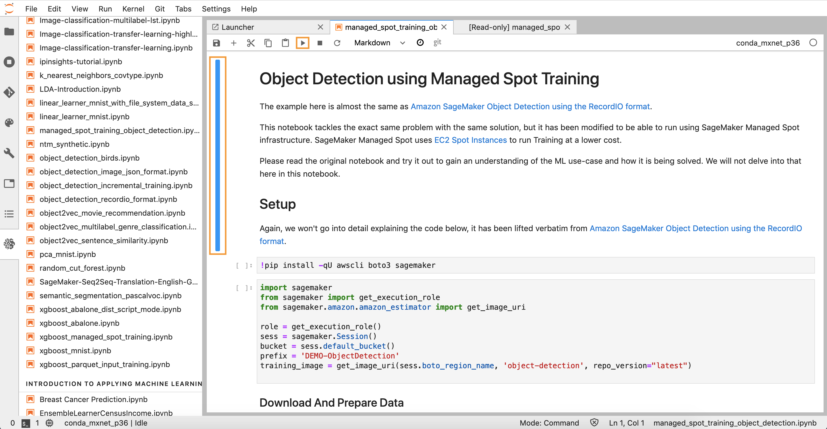 Amazon SageMaker Object Detection