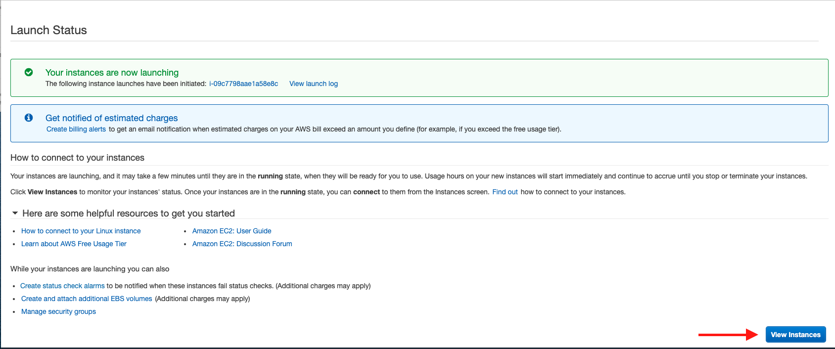 Choose &quot;View Instances&quot; to see your Amazon EC2 instance