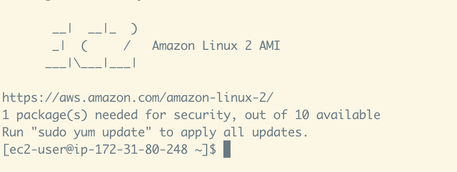 Copy the &quot;IPv4 Public IP&quot; value for your instance, and then run these commands in your terminal to SSH into your instance