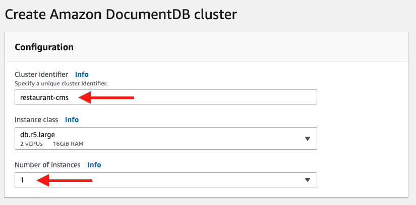 Configure your Amazon DocumentDB cluster