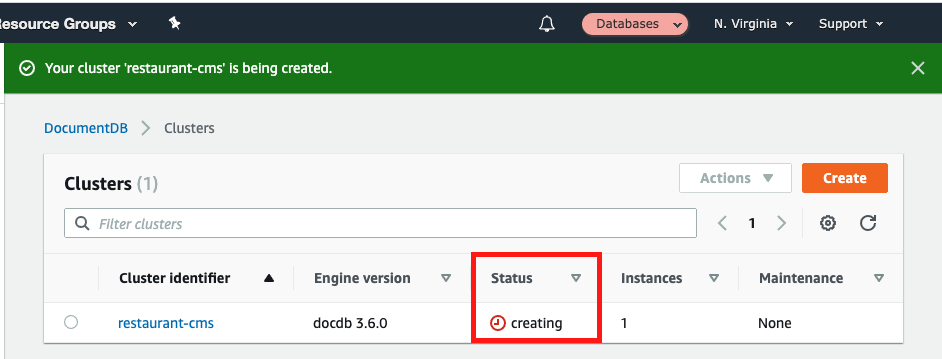 While your instance is being created, it shows a &quot;Status&quot; of &quot;creating&quot;