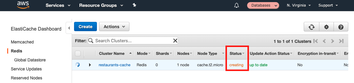 While your instance is being created, it shows a &quot;Status&quot; of &quot;creating&quot;