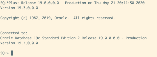 If your connection was successful, your terminal should show a connection to your Oracle database