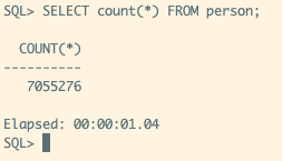 You should see this output, indicating there are 7,055,276 records in the PERSON table