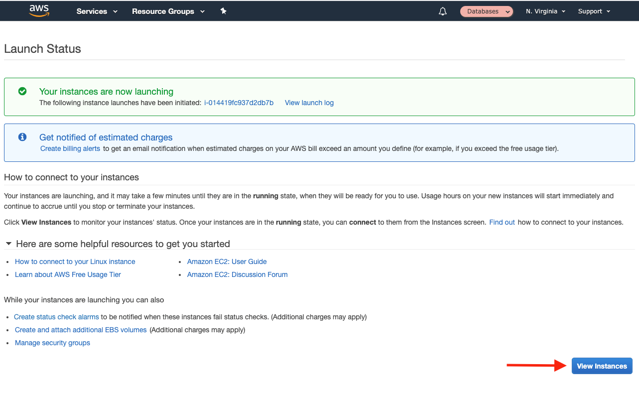 Choose &quot;View Instances&quot; to see your Amazon EC2 instance