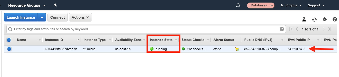 When the &quot;Instance State&quot; shows &quot;running,&quot; you can SSH into your instance