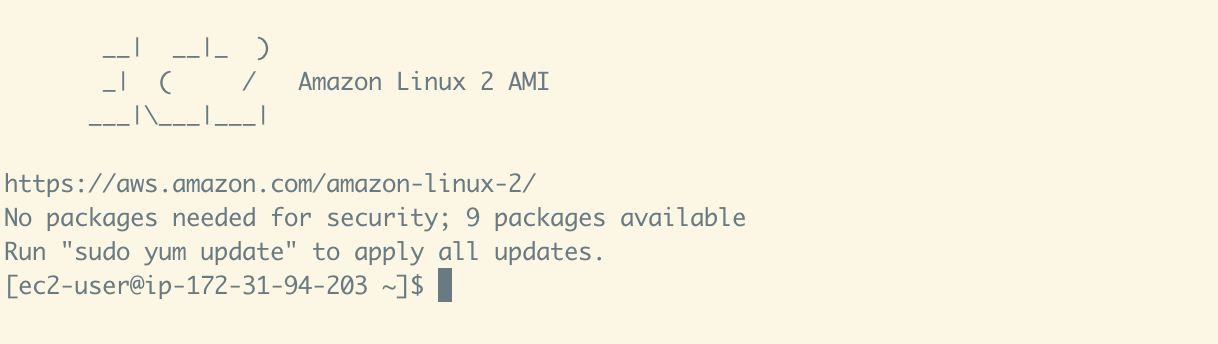 Copy the &quot;IPv4 Public IP&quot; value for your instance, and then run these commands in your terminal to SSH into your instance