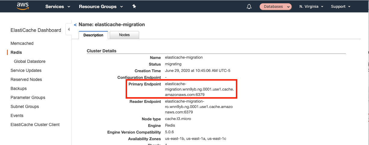 Copy the hostname of the primary endpoint but do not copy the port number at the end