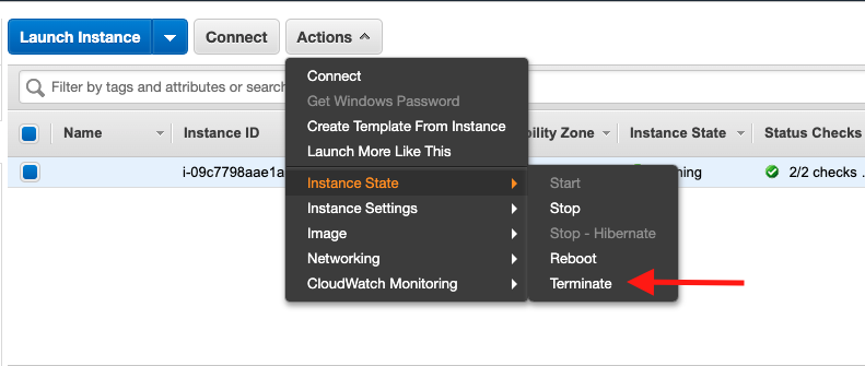 Choose your Amazon EC2 instance, and then choose &quot;Instance State&quot; &gt; &quot;Terminate&quot;