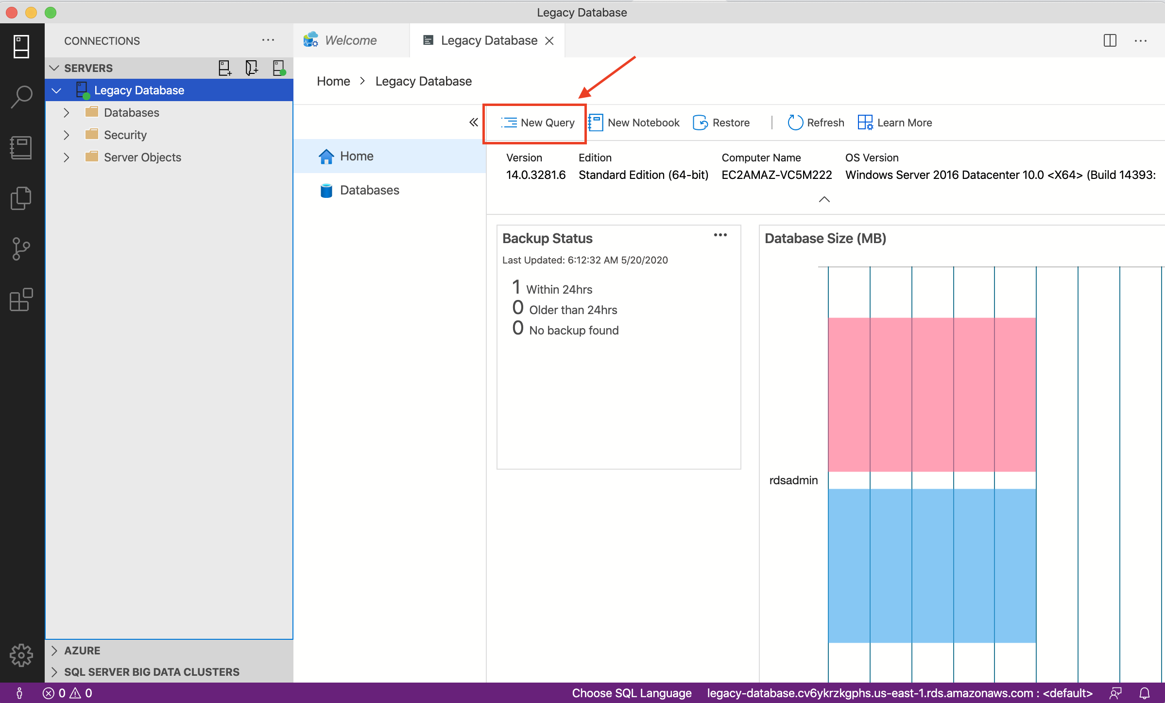 Choose &quot;New Query&quot; to execute a query in your database