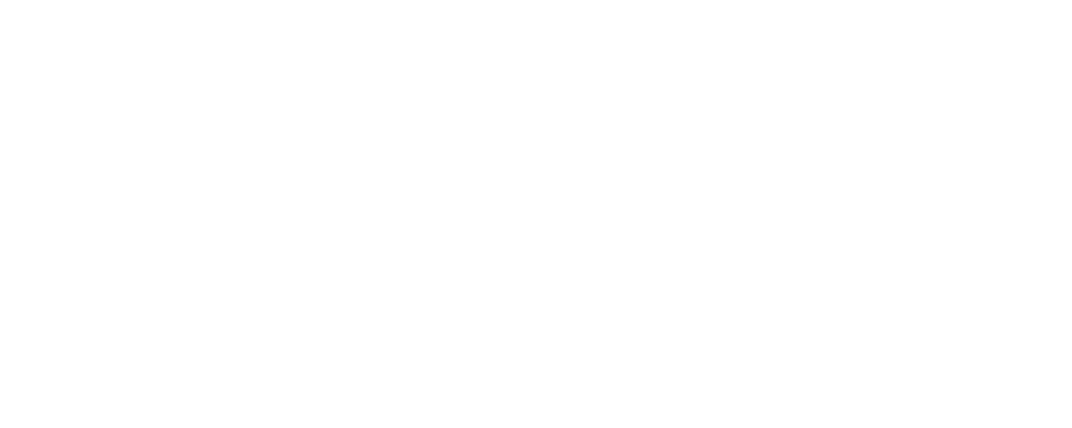 IBM logo